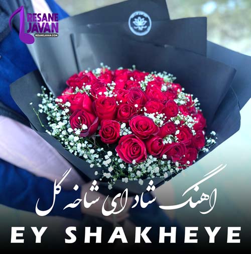 آهنگ ای شاخه ی پرگل قشنگم ریمیکس  | آهنگ جدید آهنگ ای شاخه ی پرگل قشنگم ریمیکس 1402 و 2023